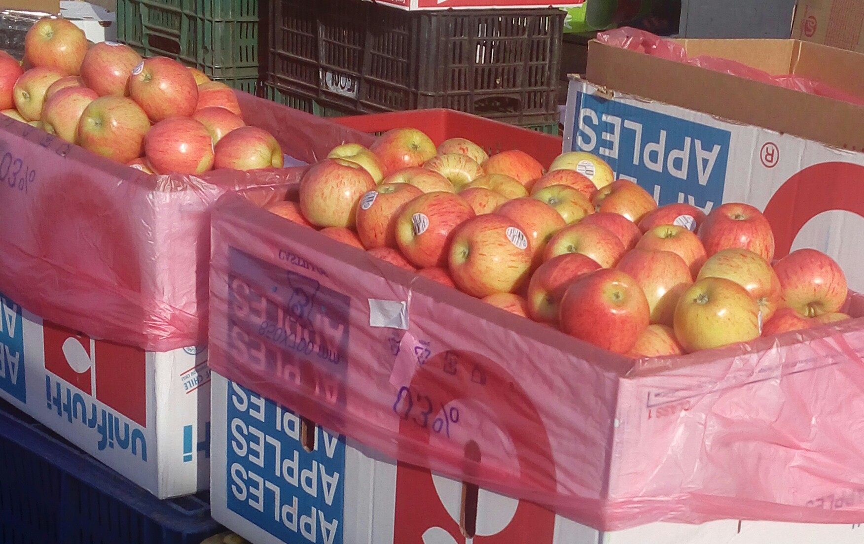 Manzana gala