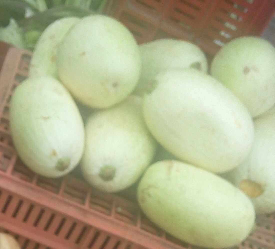 Calabaza blanca