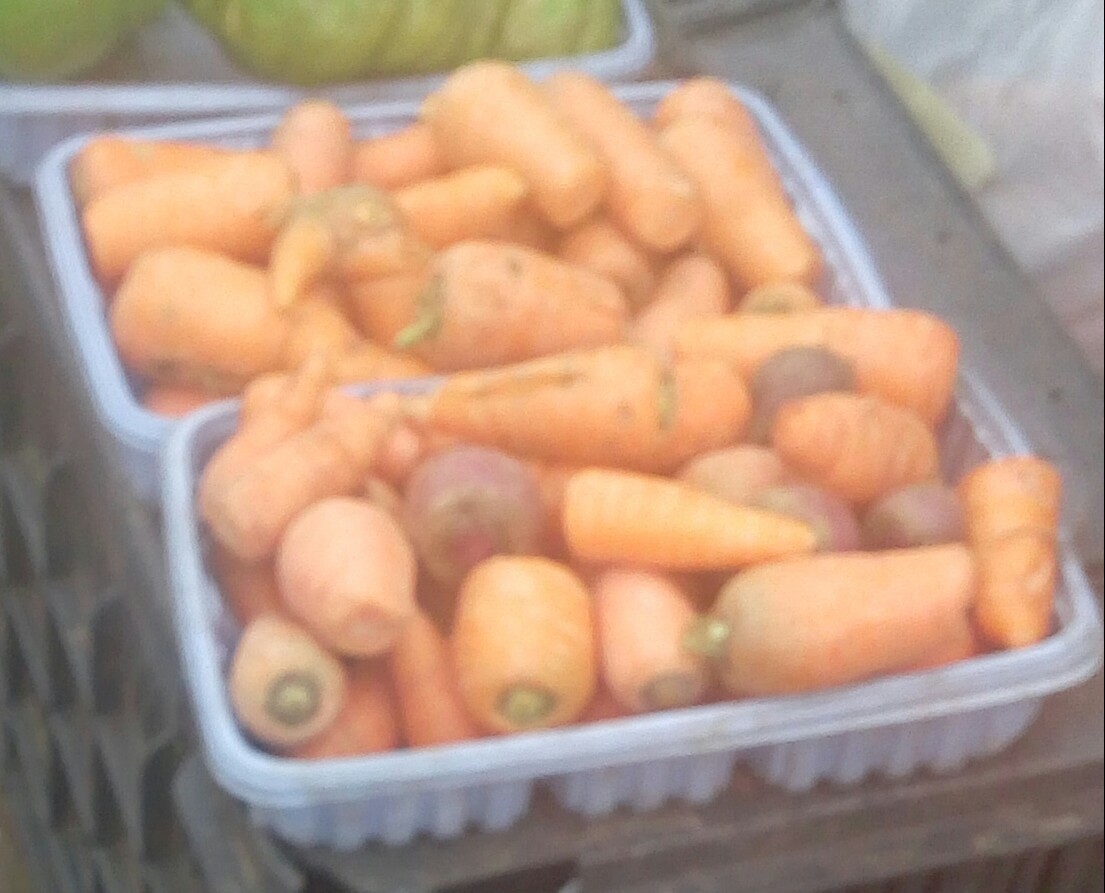 Zanahoria