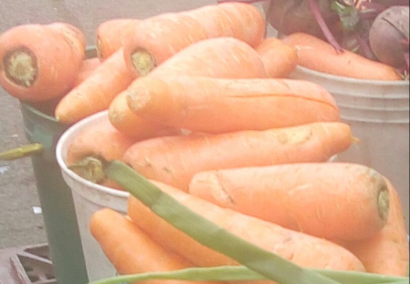 Zanahoria