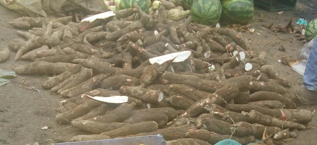 Yuca