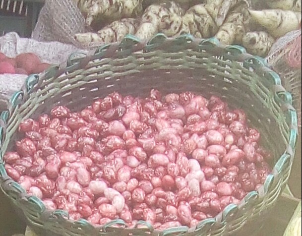 Fríjol des Granado