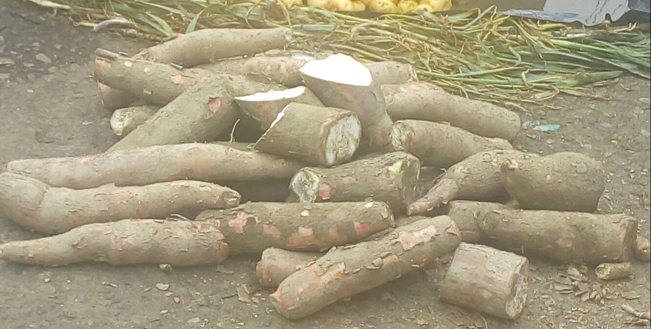 Yuca