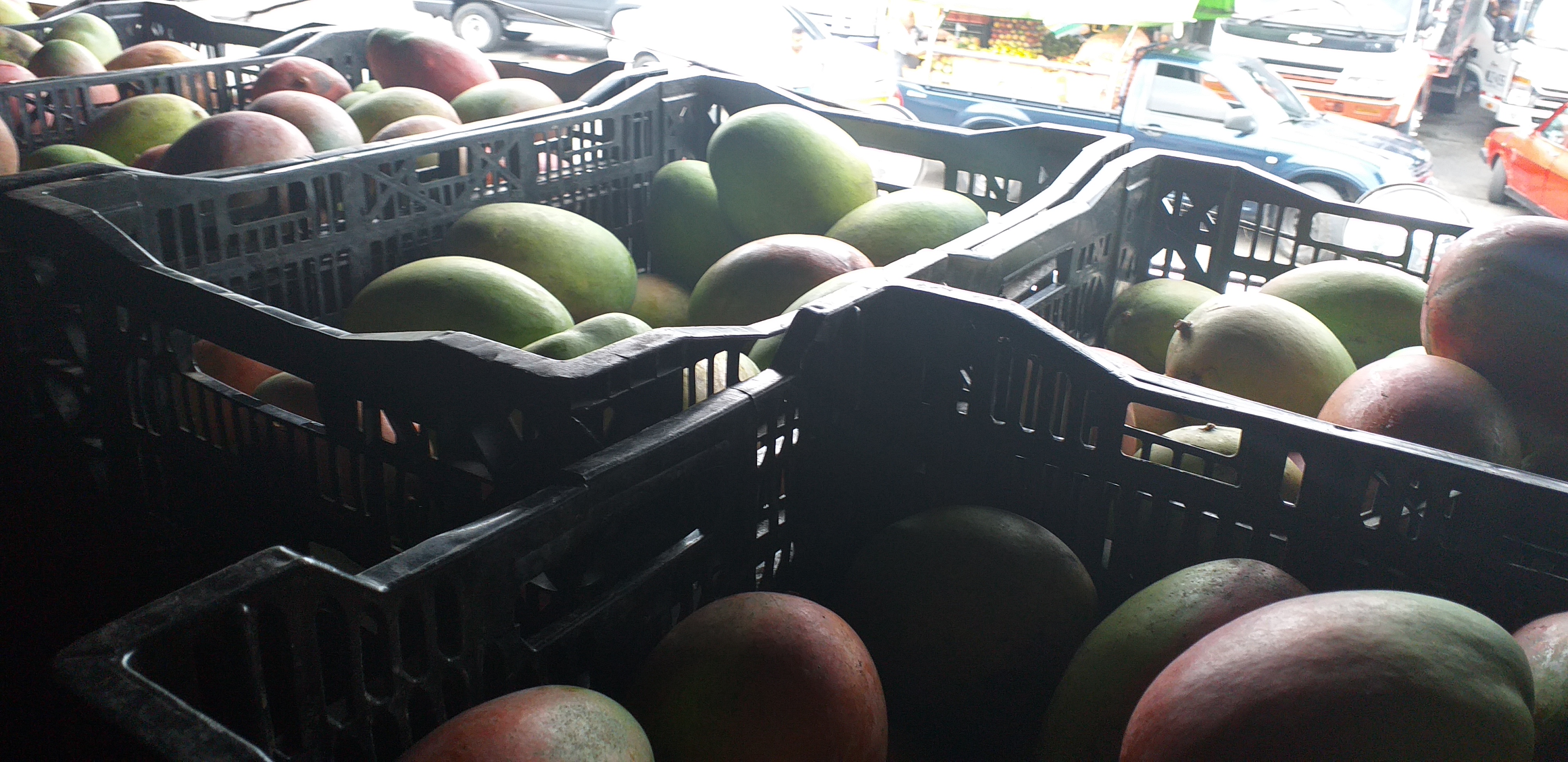 Mango farchi manchado