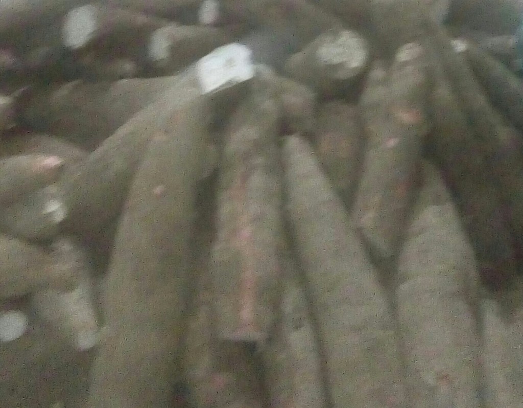 Yuca