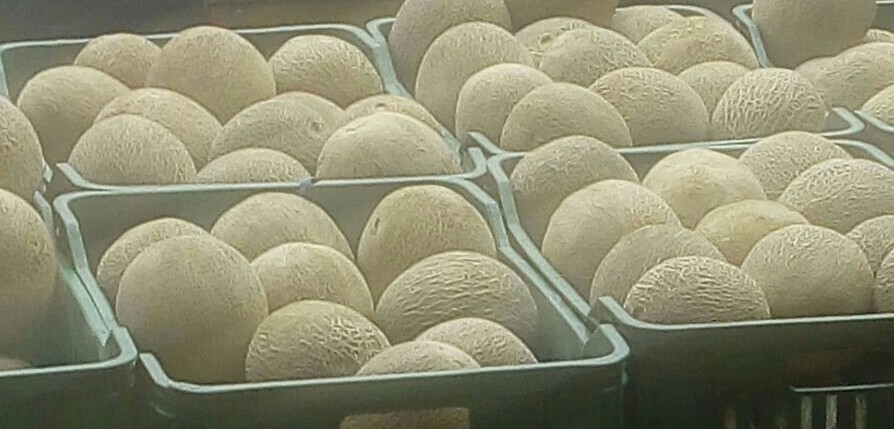 Melon
