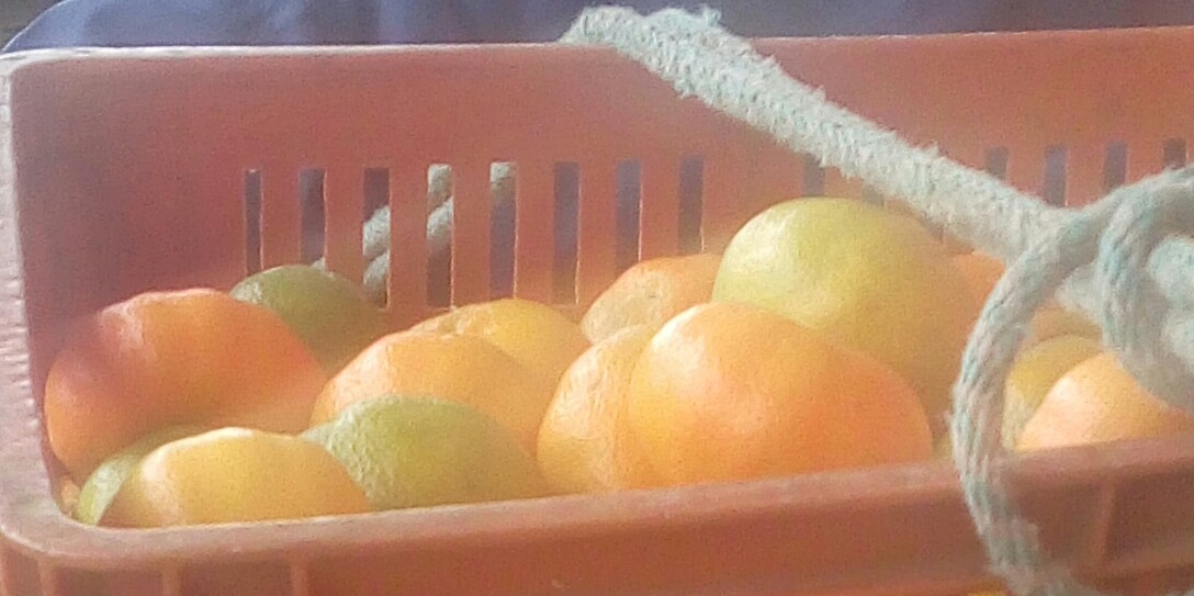 Mandarina