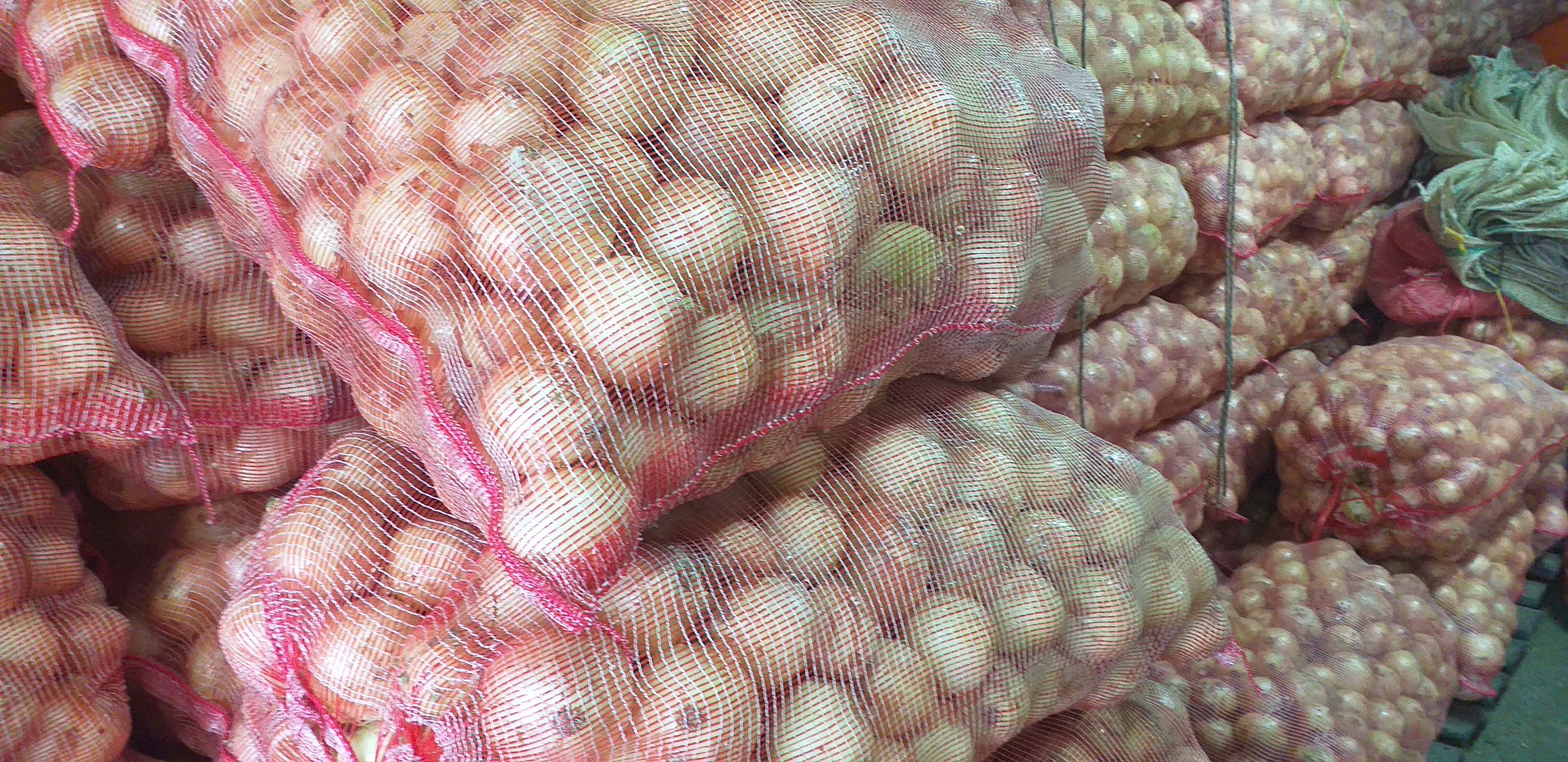 Cebolla blanca /50kg