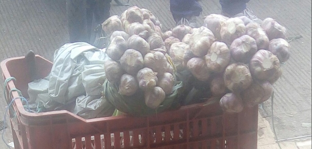 Ajo en rama