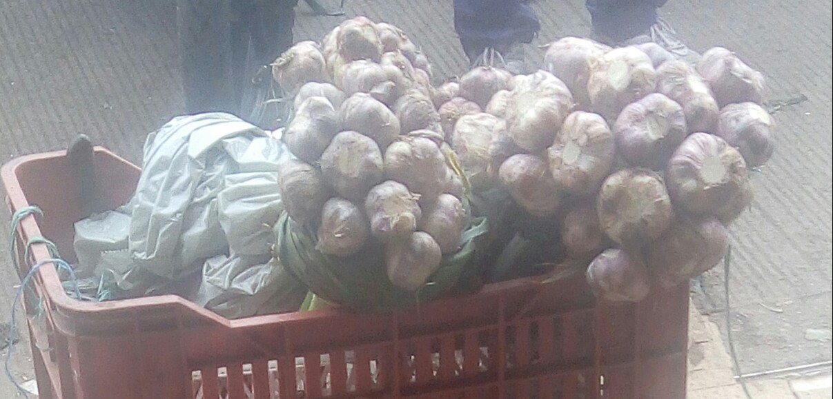 Ajo