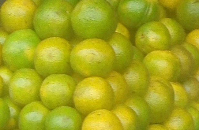 Naranja tangelo