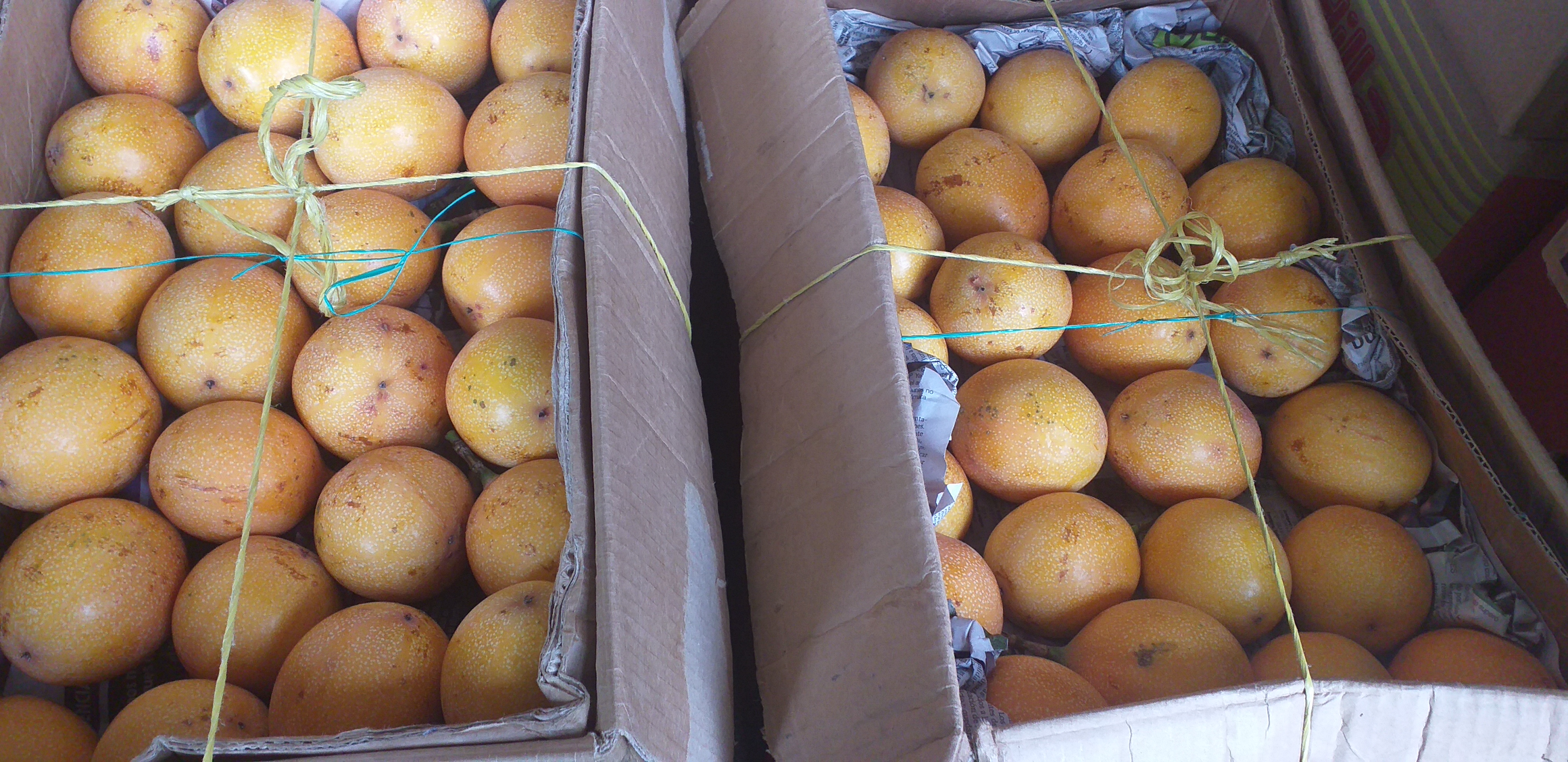 Granadilla extra/15kg