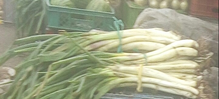 Cebolla larga