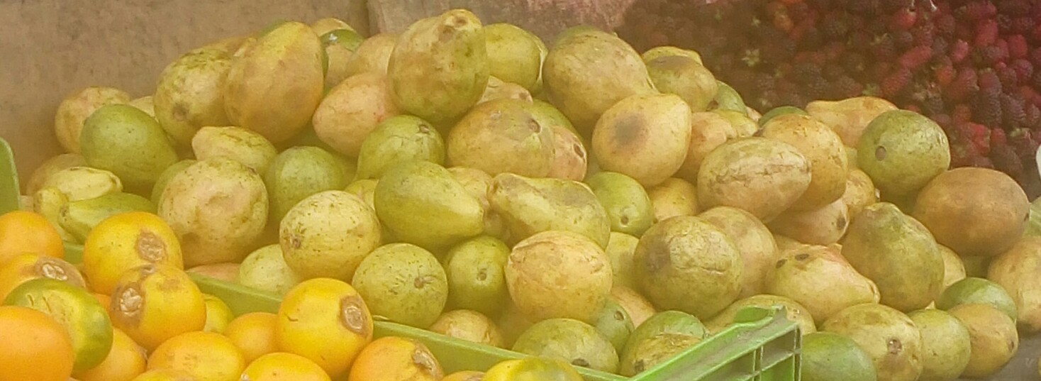 Guayaba