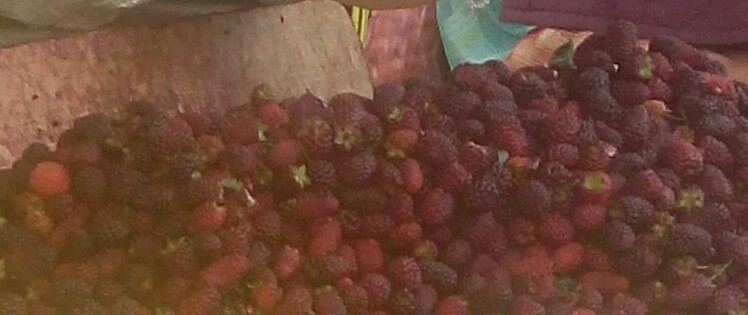 Mora