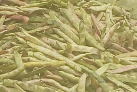 Frijol en cascara