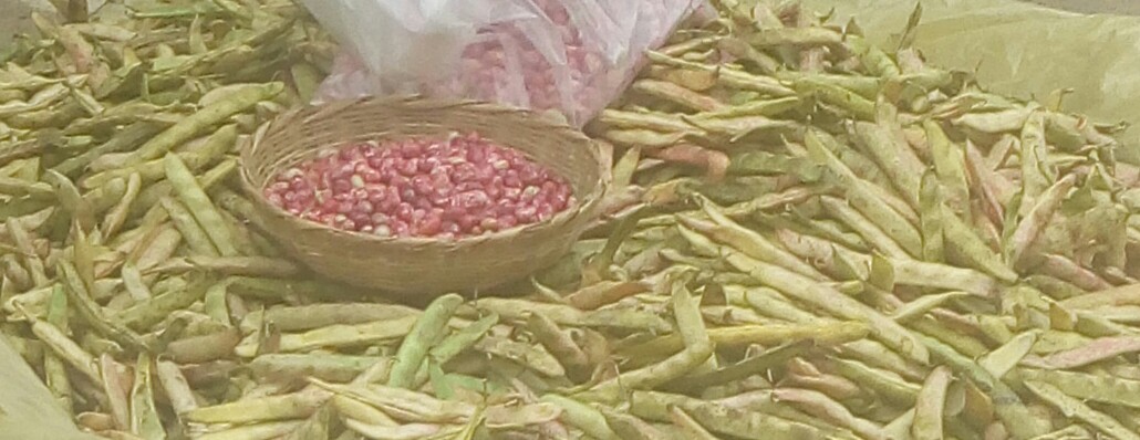 Frijol en cascara