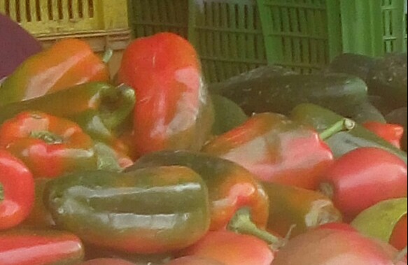 Pimenton