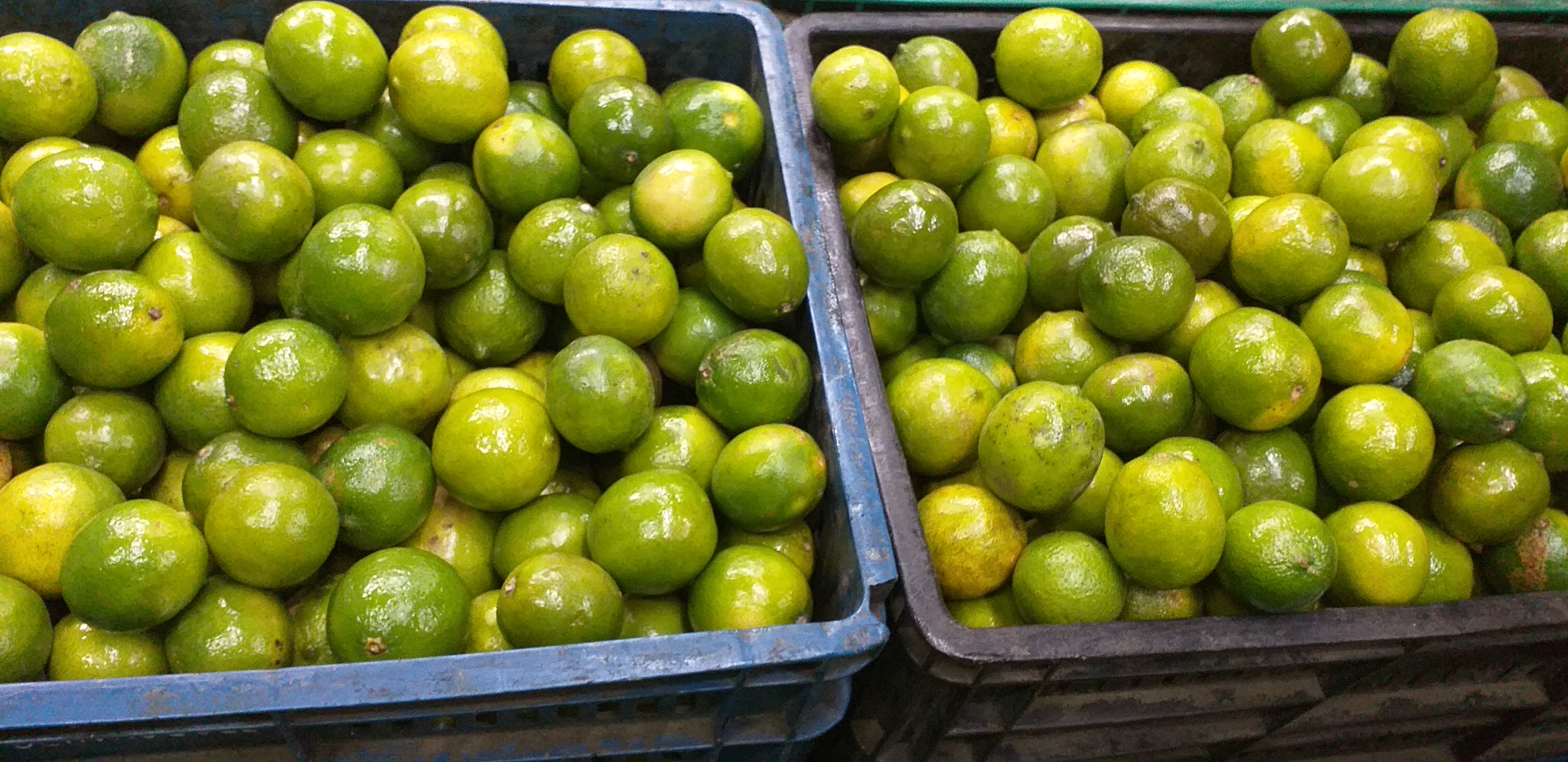 Limon tahiti