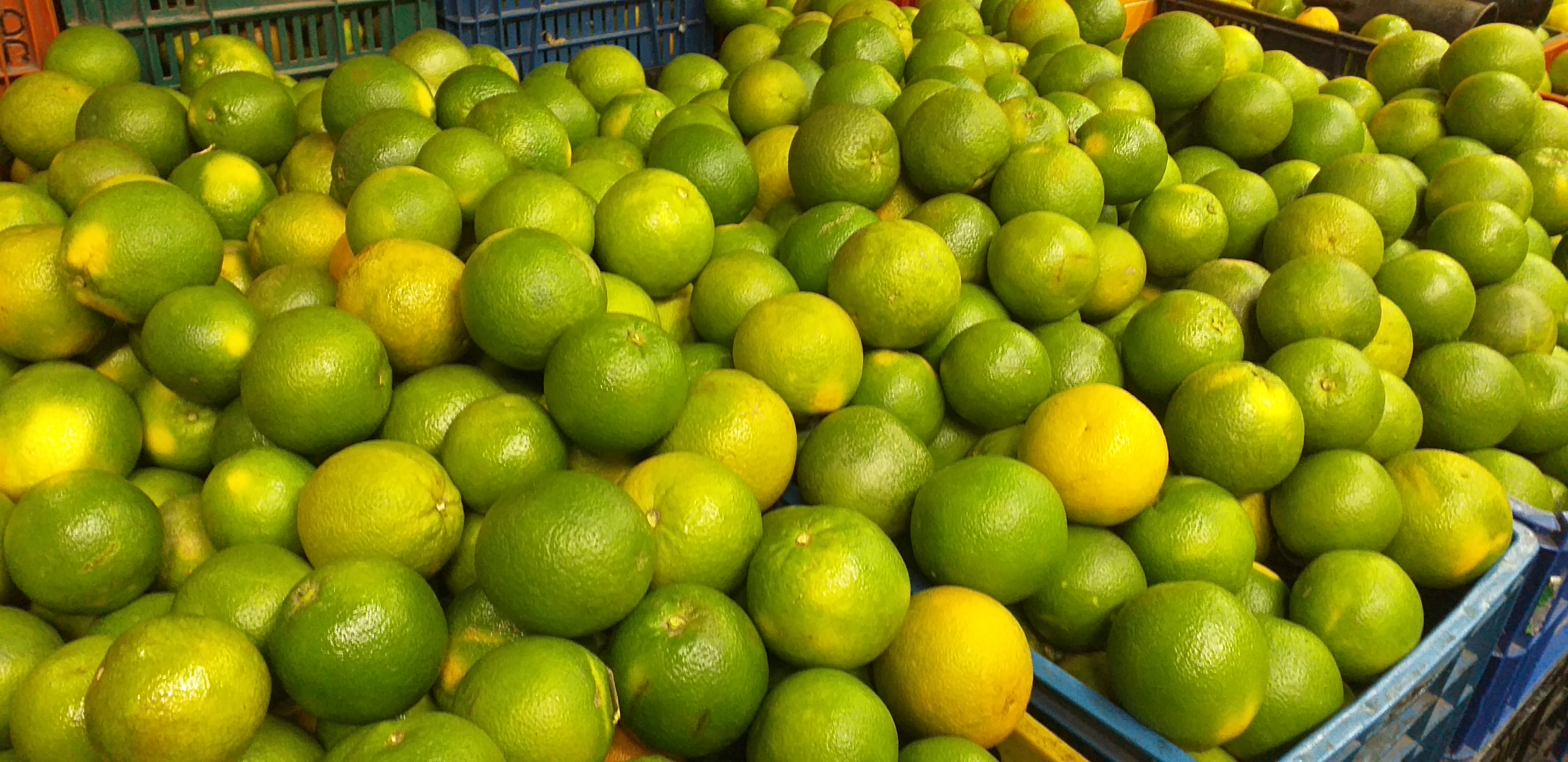 Naranja valencia