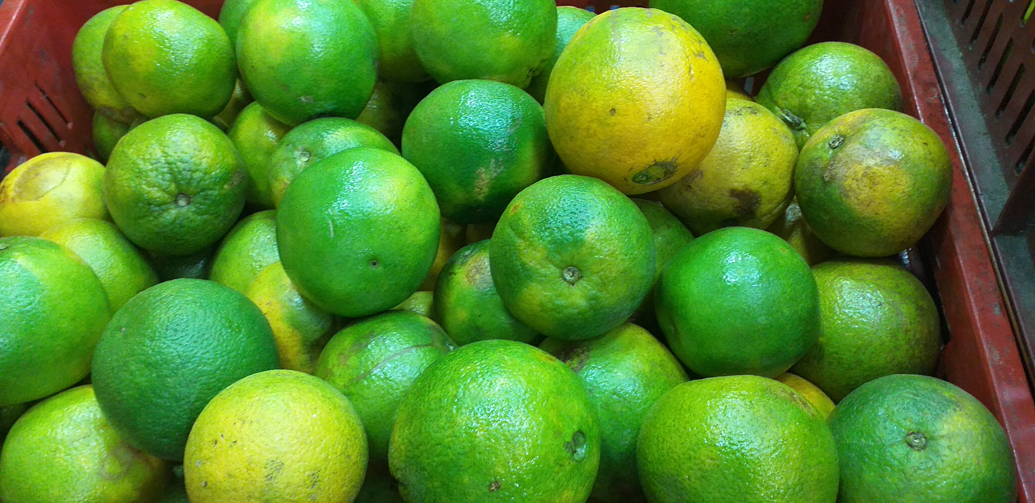 Naranja valencia de 2da