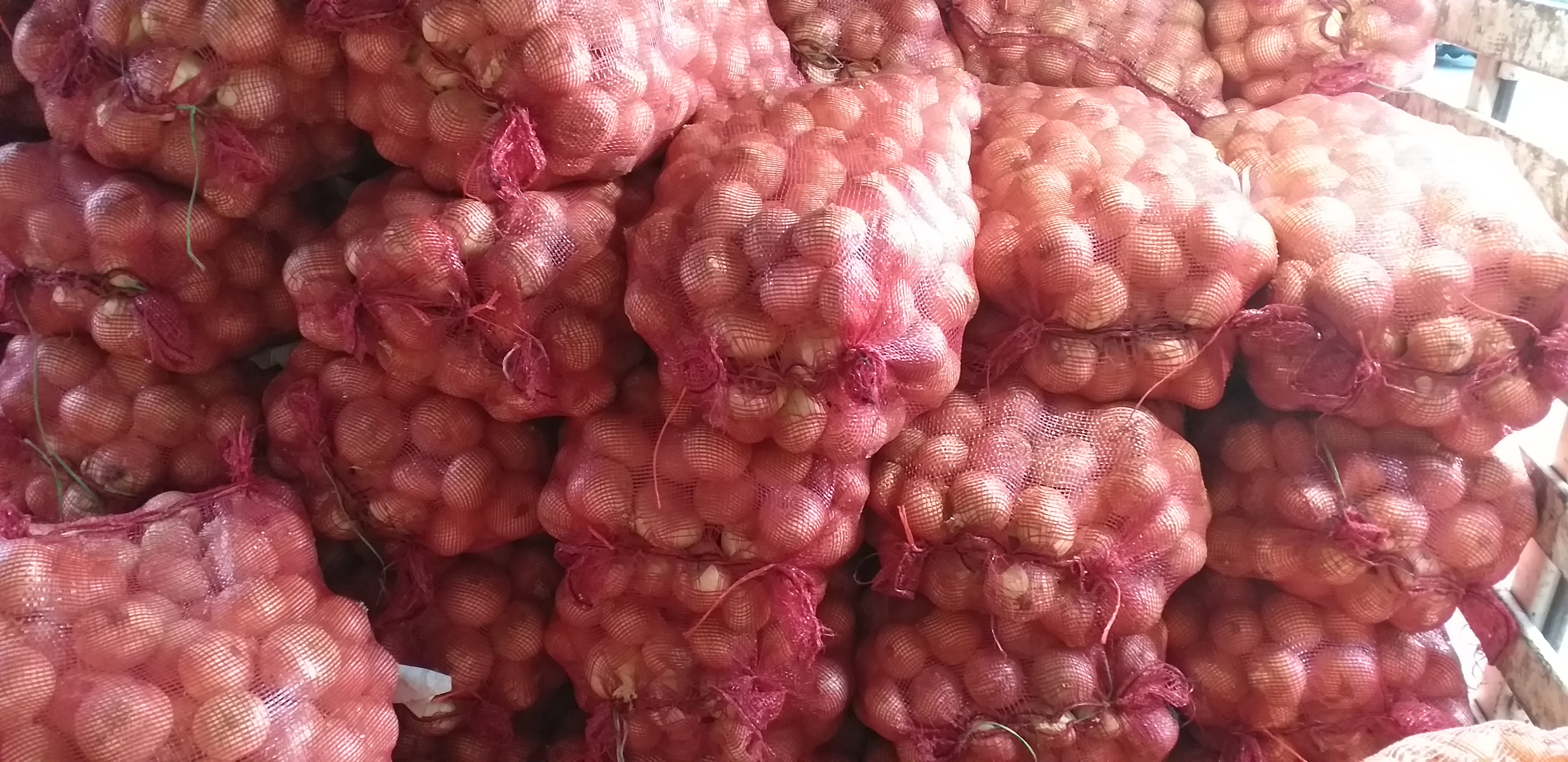 Cebolla blanca/50kg