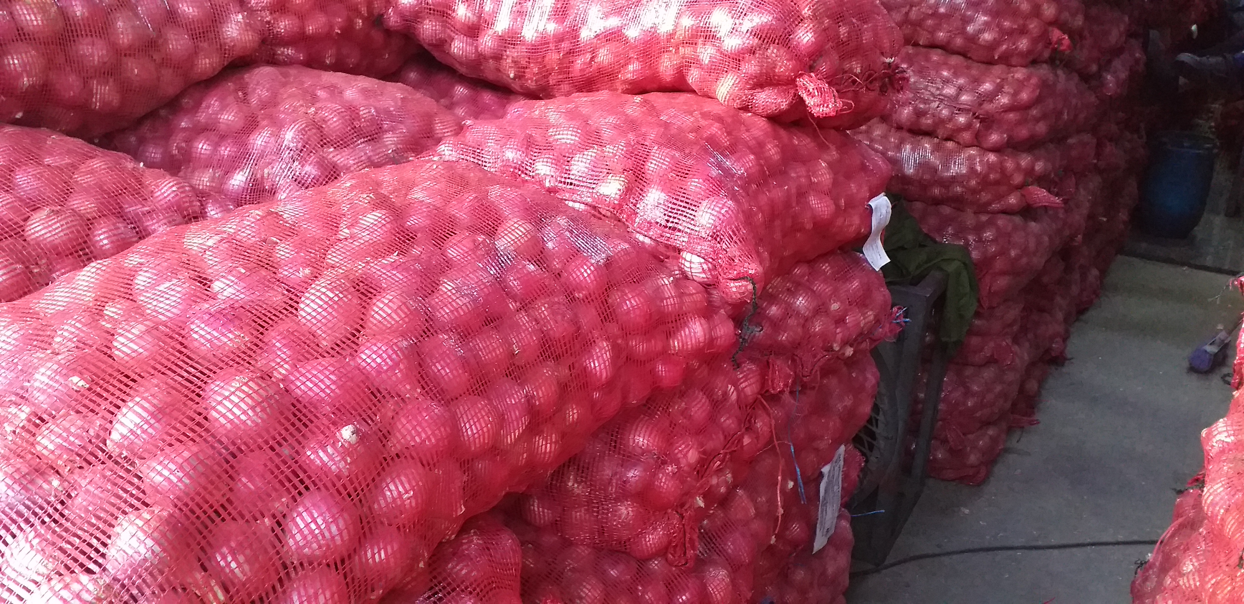 Cebolla peruana/50kg