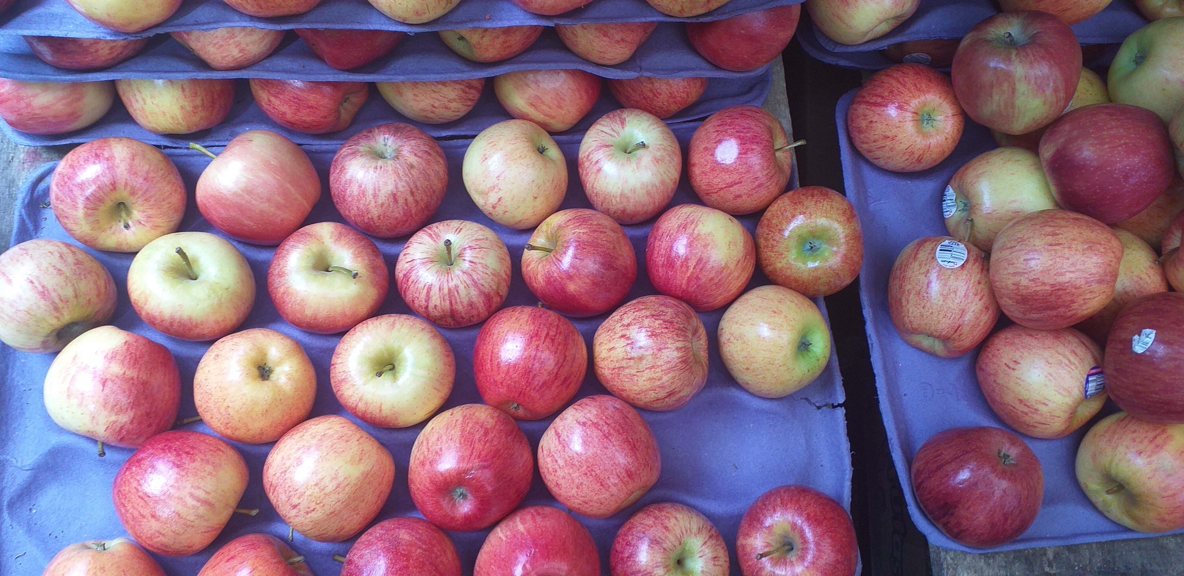 Manzana gala delgada