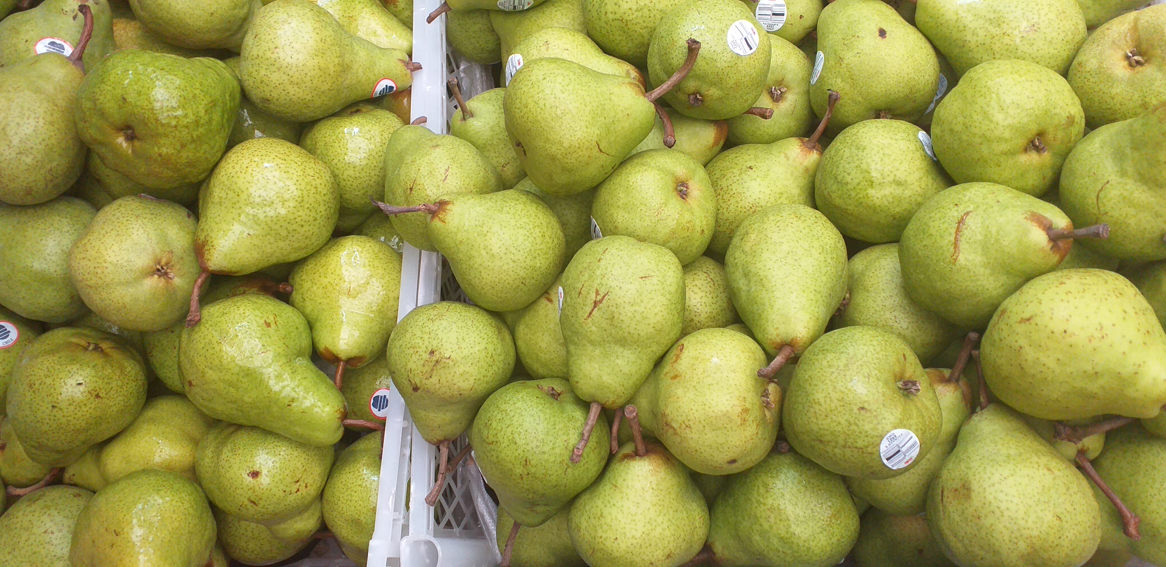 Pera gruesa