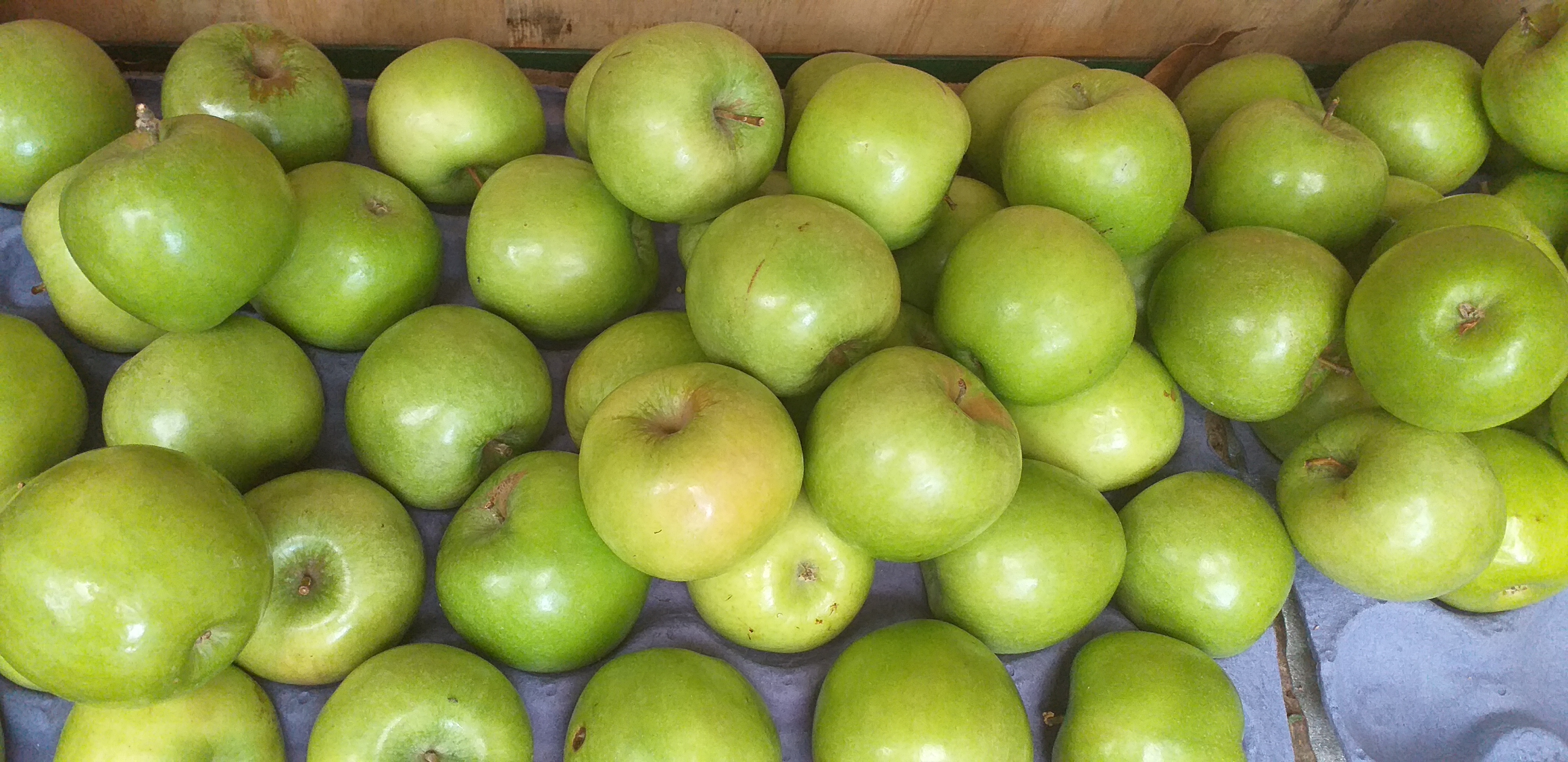 Manzana verde gruesa