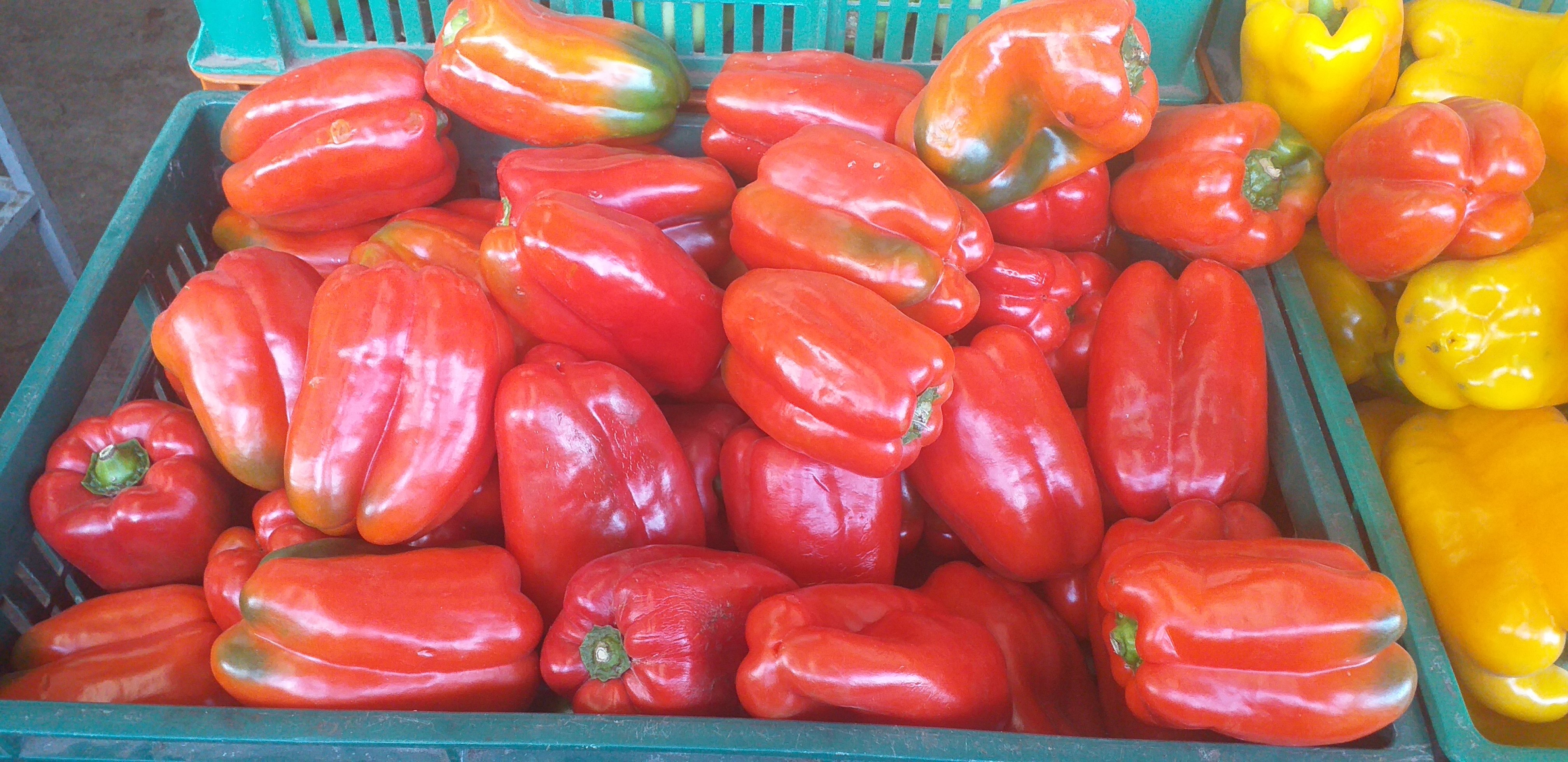 Pimenton rojo