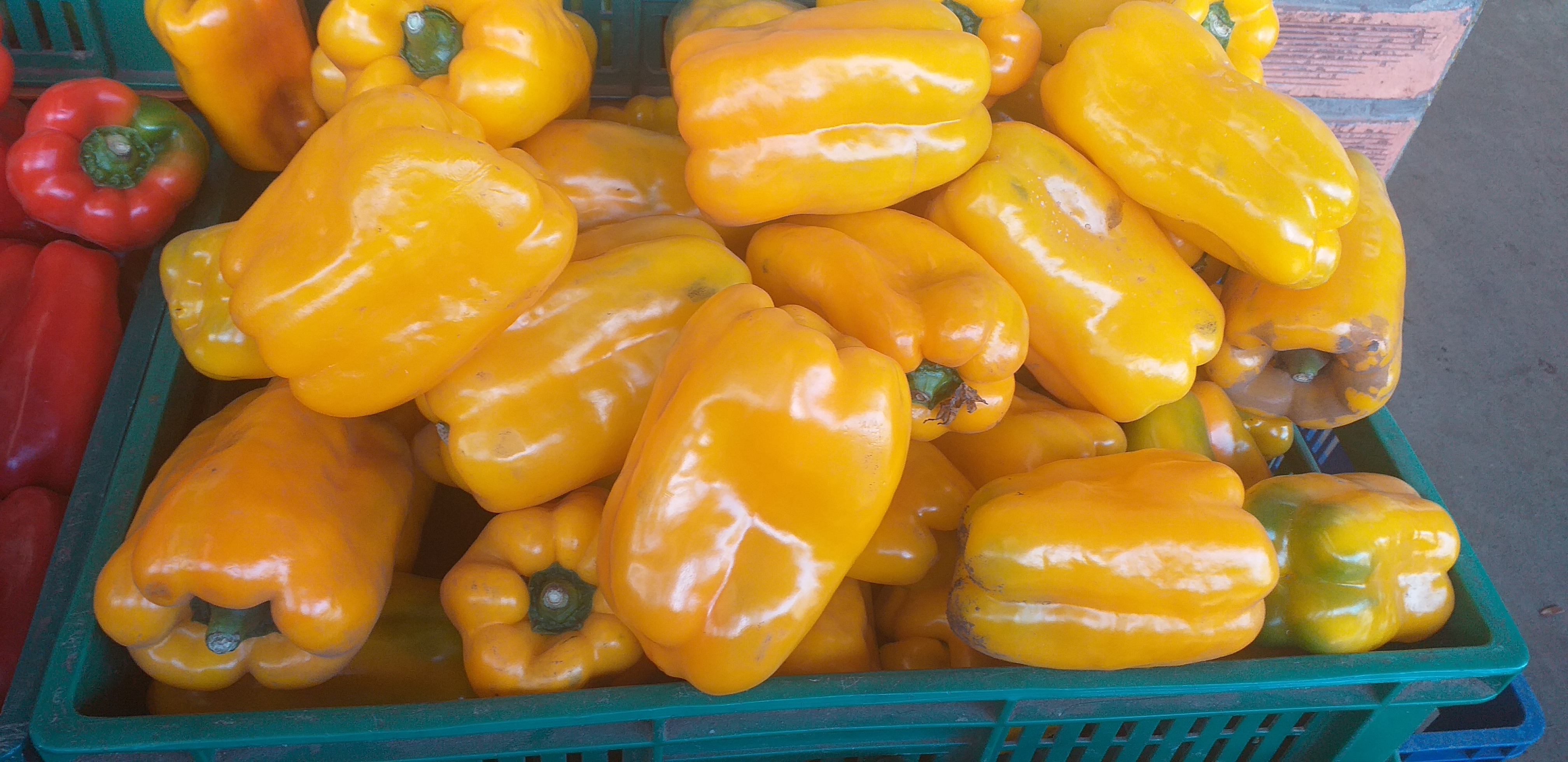 Pimenton amarillo