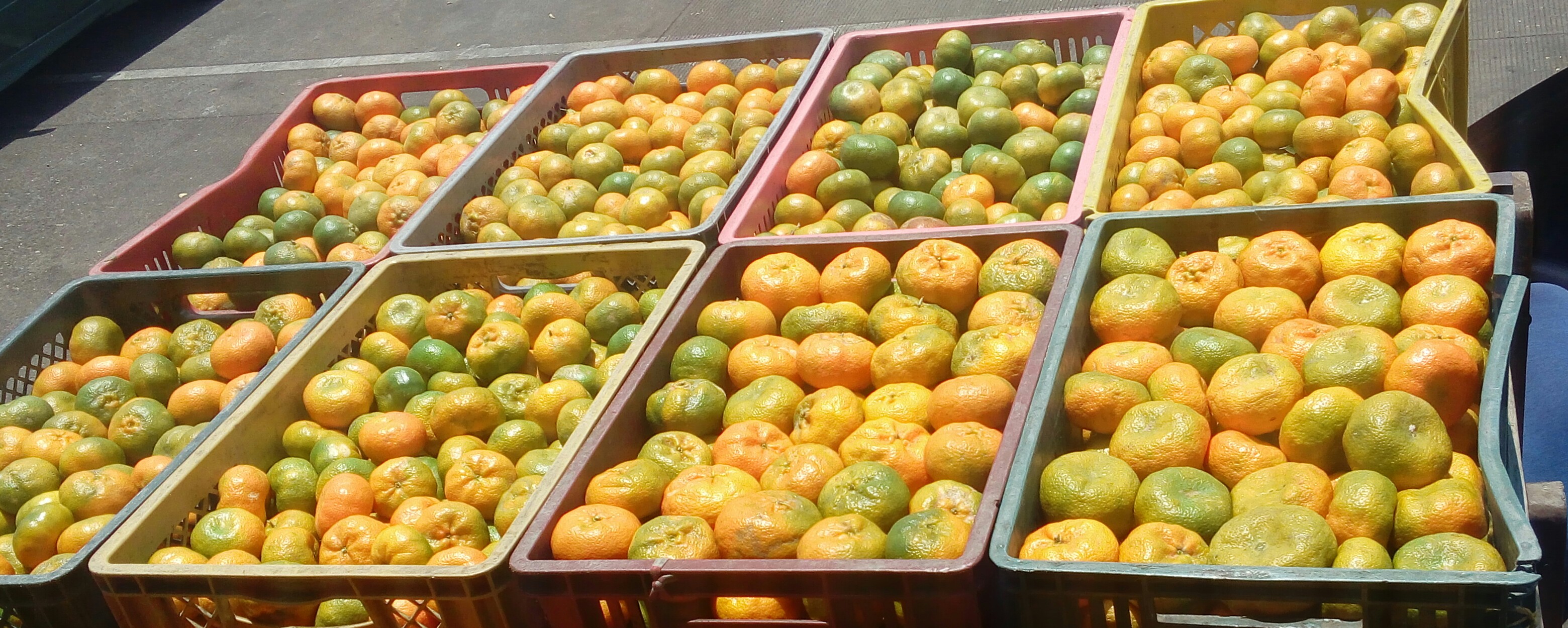 Mandarina arrayana