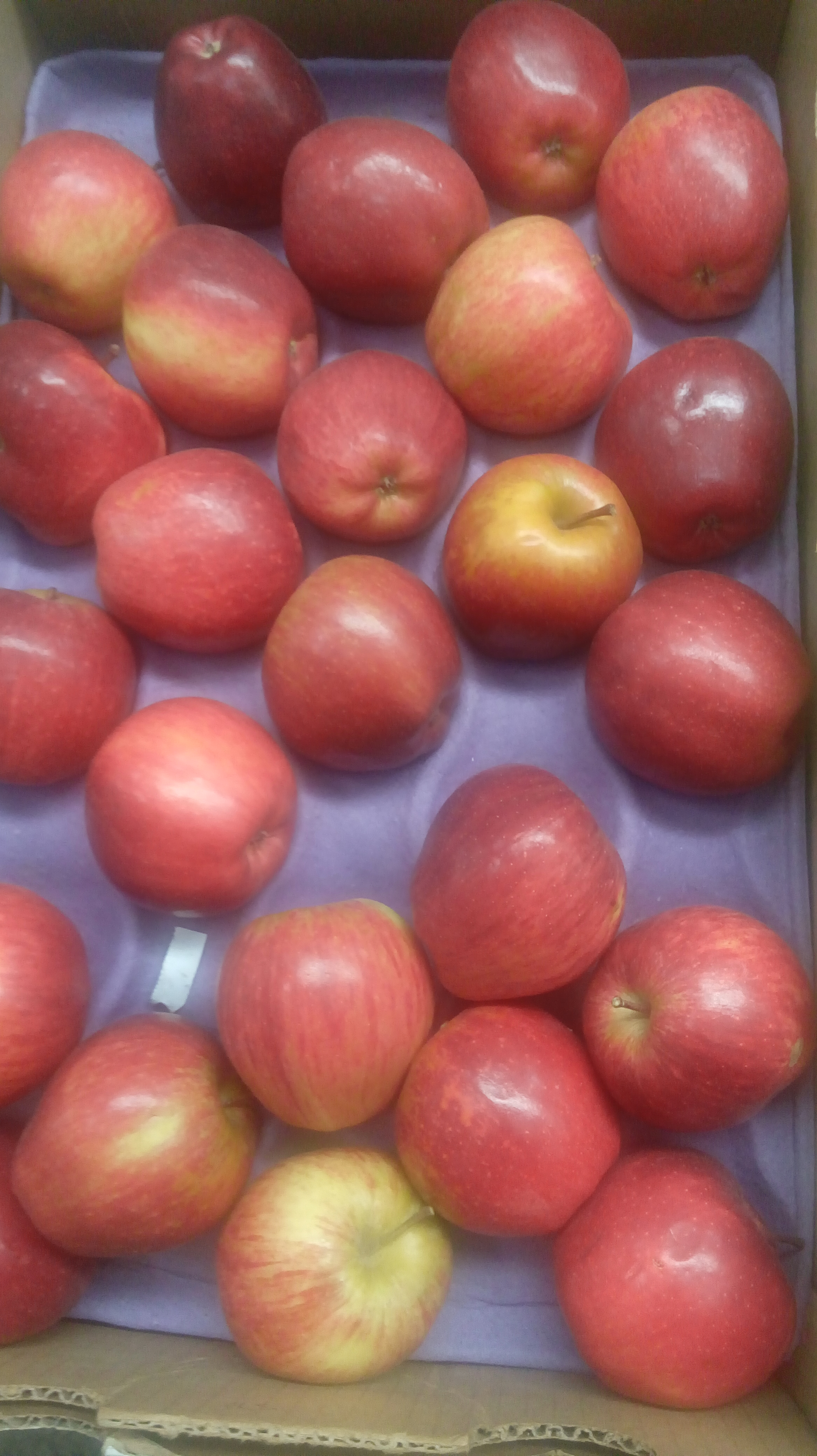 Manzana roja