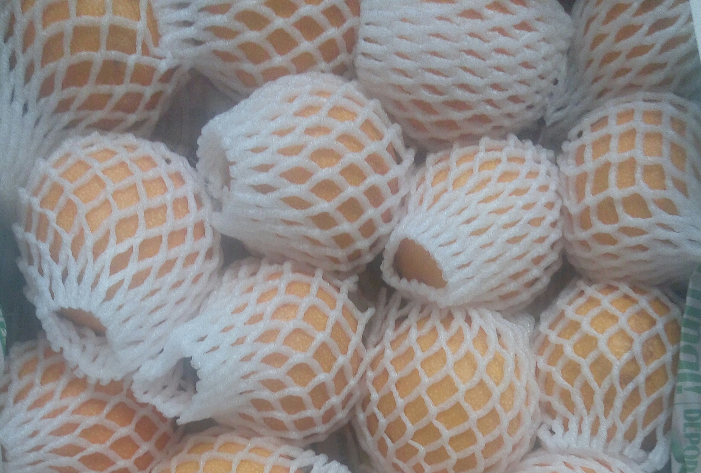 Granadilla