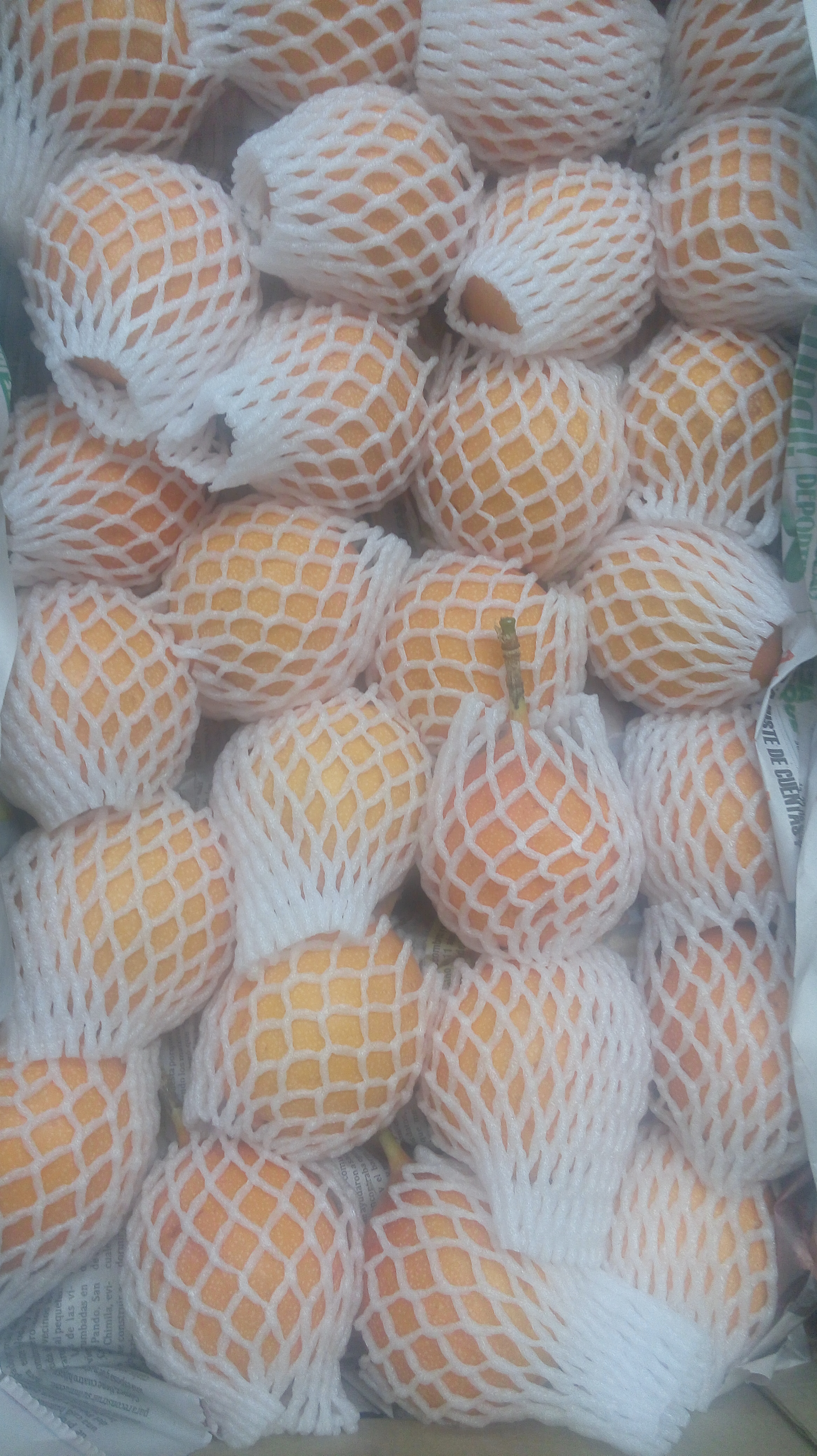 Granadilla en maya