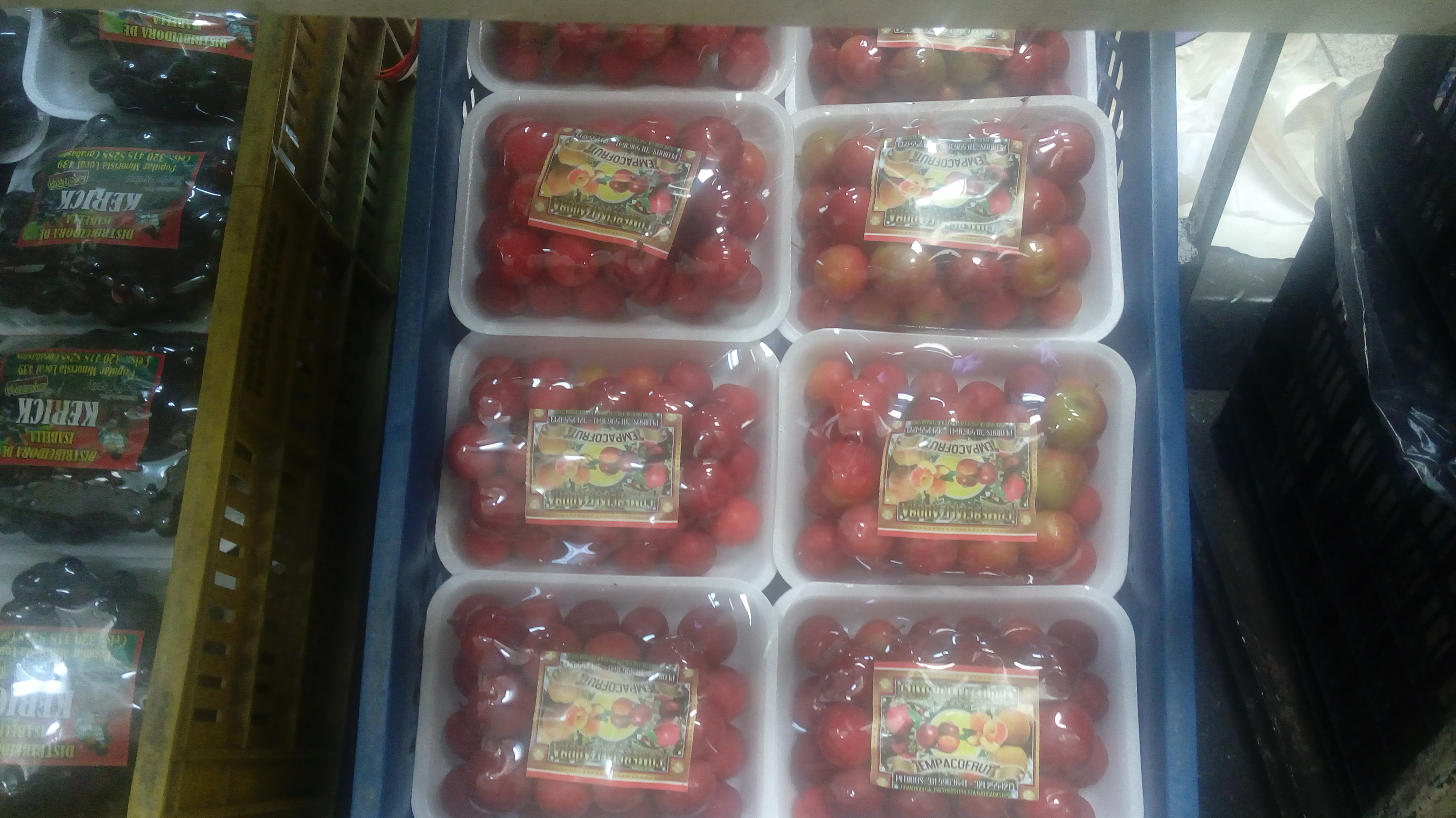 Ciruelas chilenas