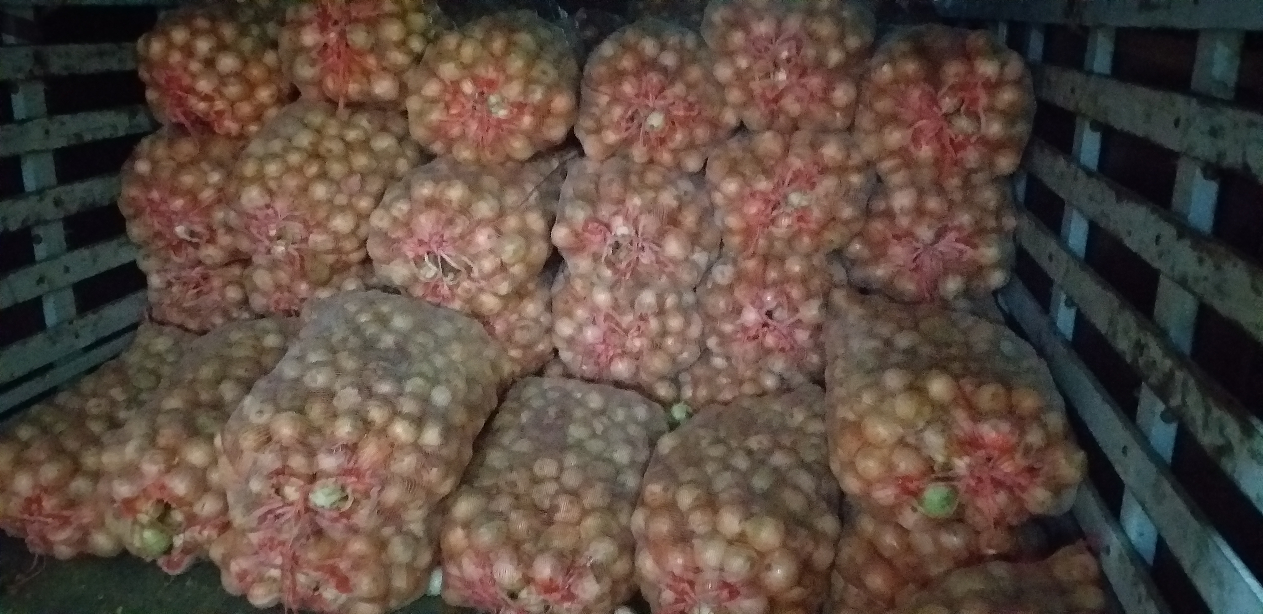 Cebolla blanca cabezona/50kg