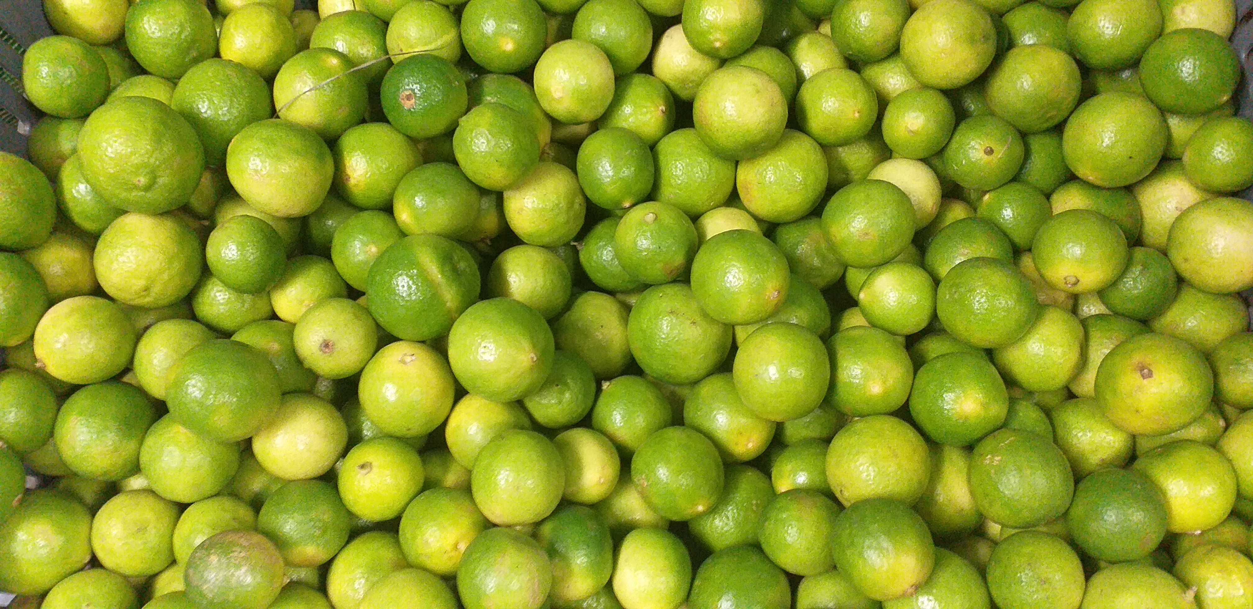 Limon criollo verde