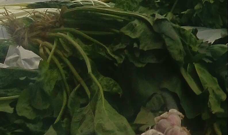 Espinacas