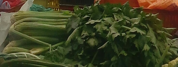 Apio