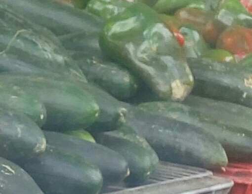 Pepino cohombro