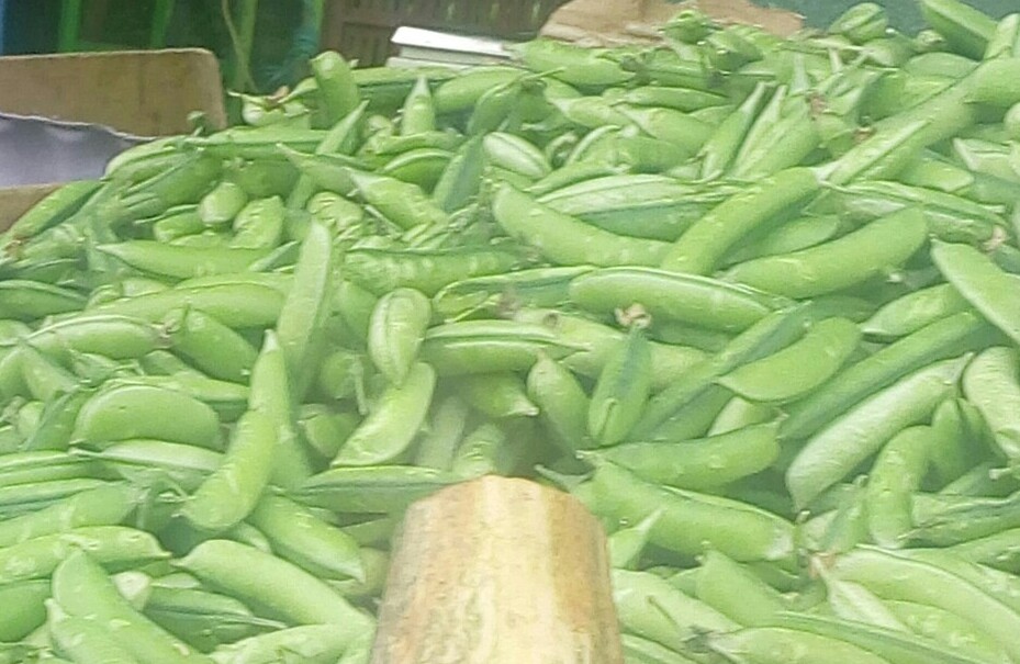 Arveja en cascara