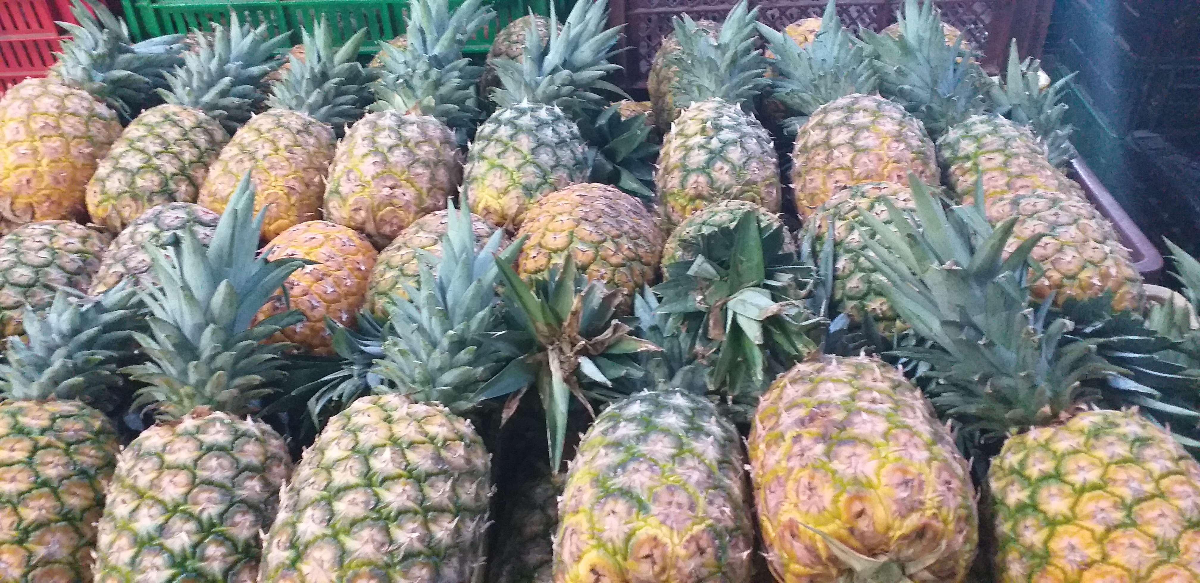 Piña oromiel