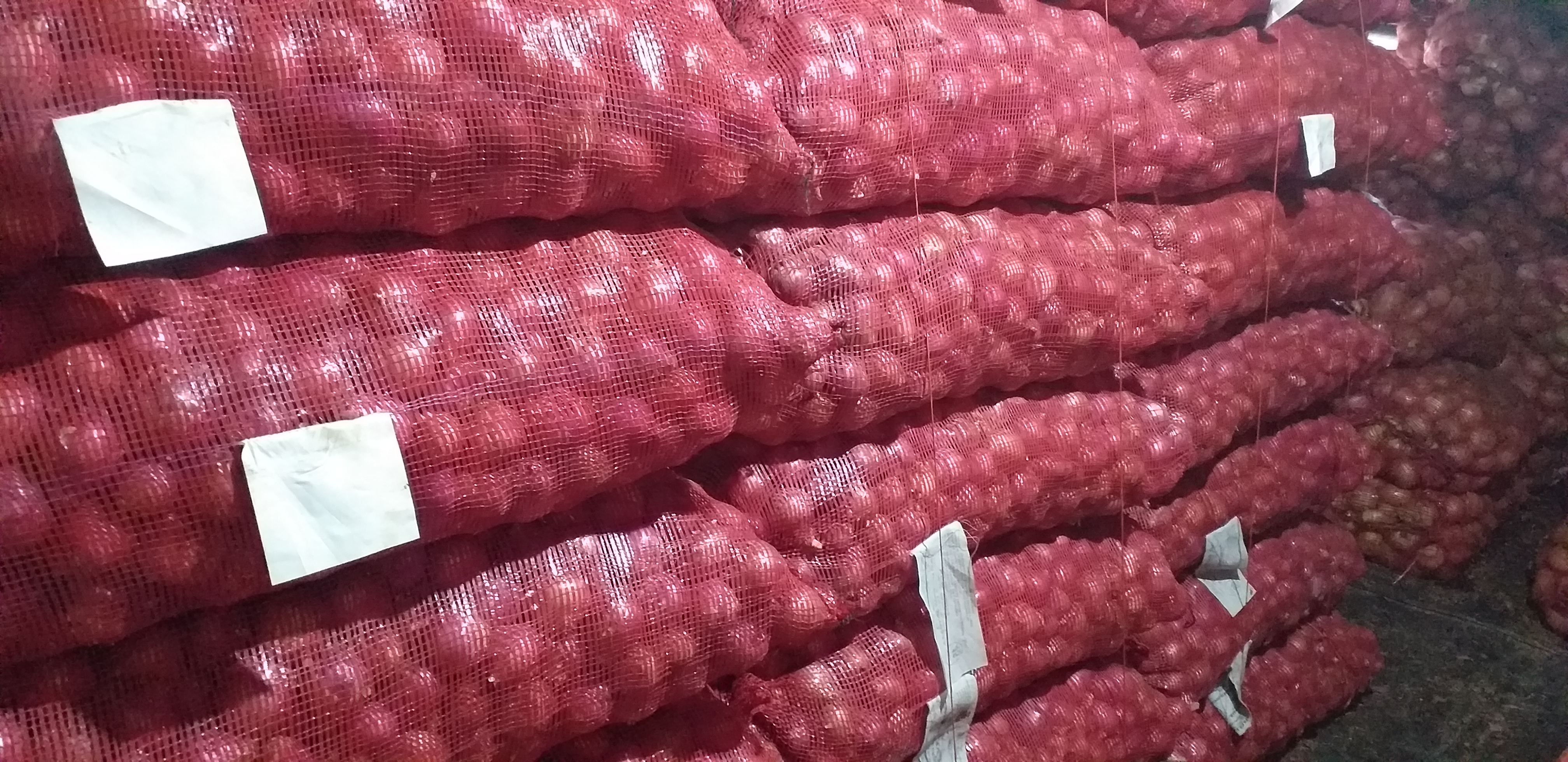Cebolla peruana/50kg