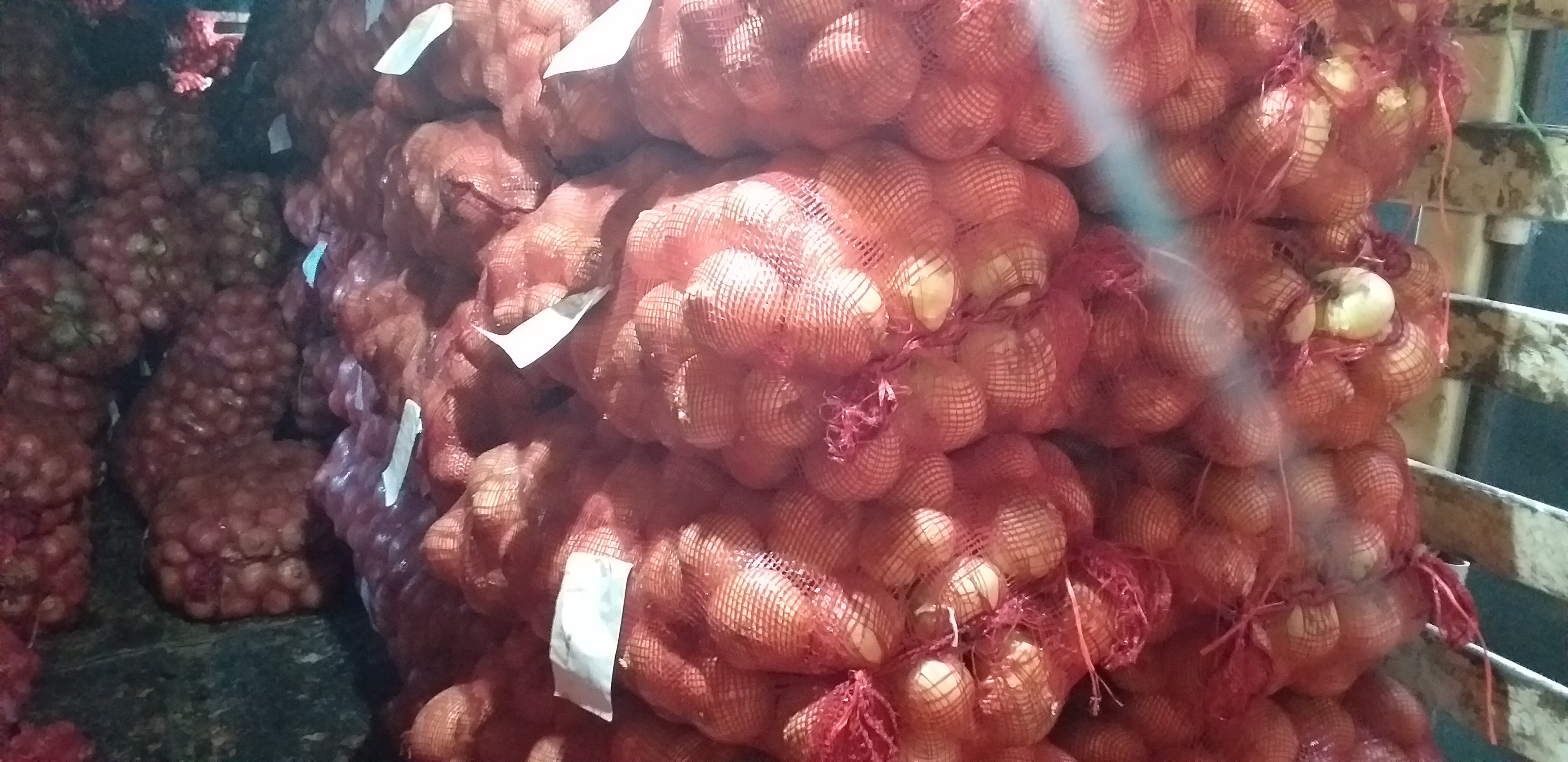 Cebolla blanca gruesa/50kg