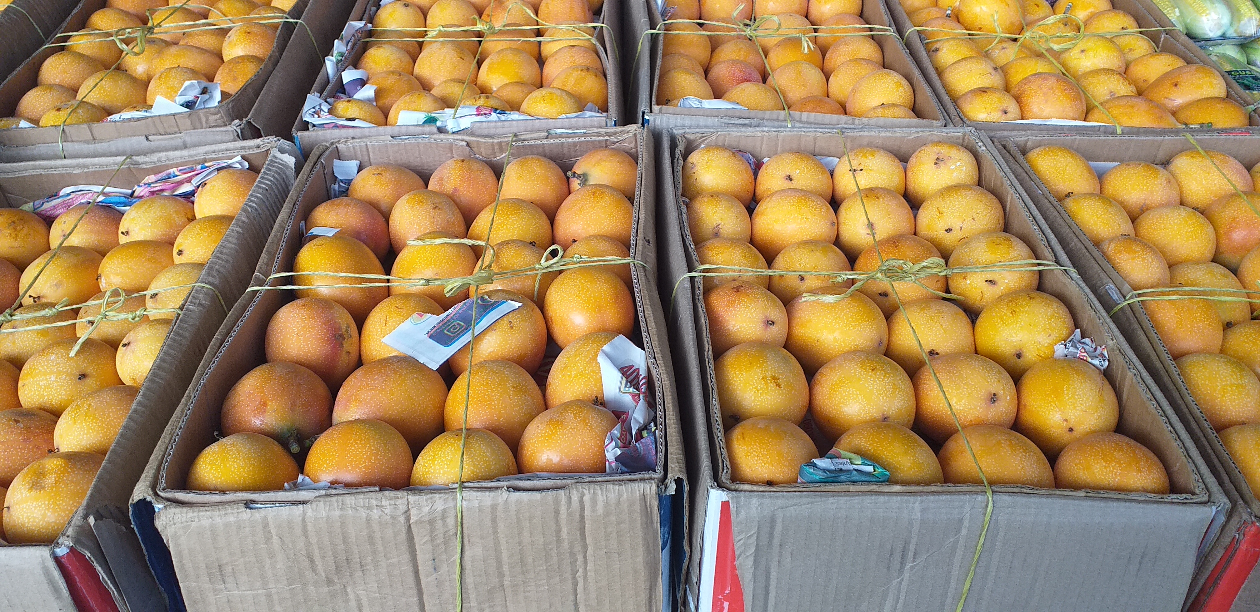 Granadilla extra *15kg