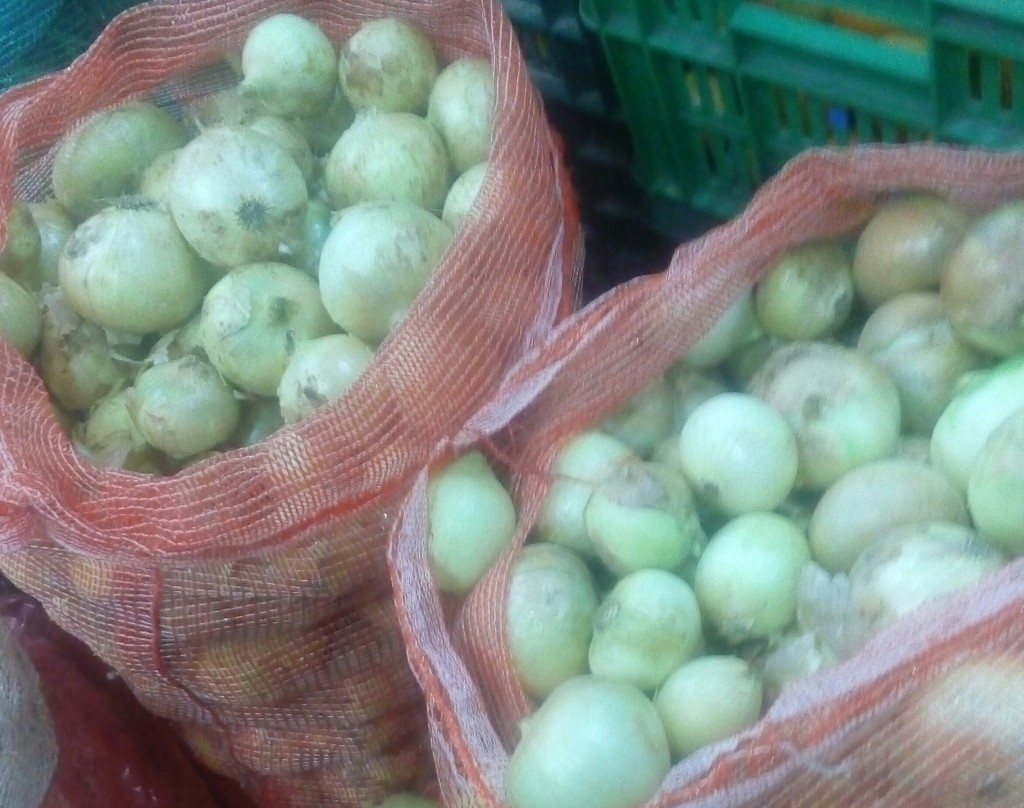 Cebolla cabezona