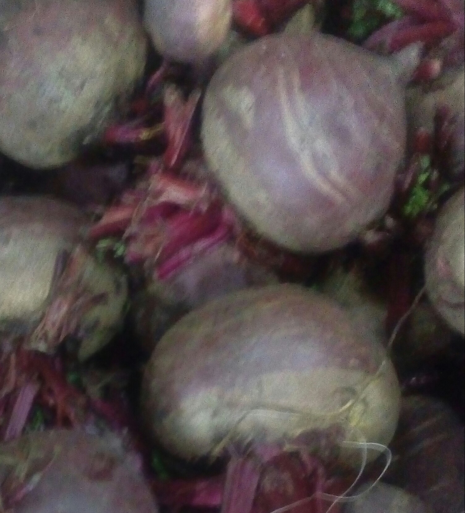 Remolacha