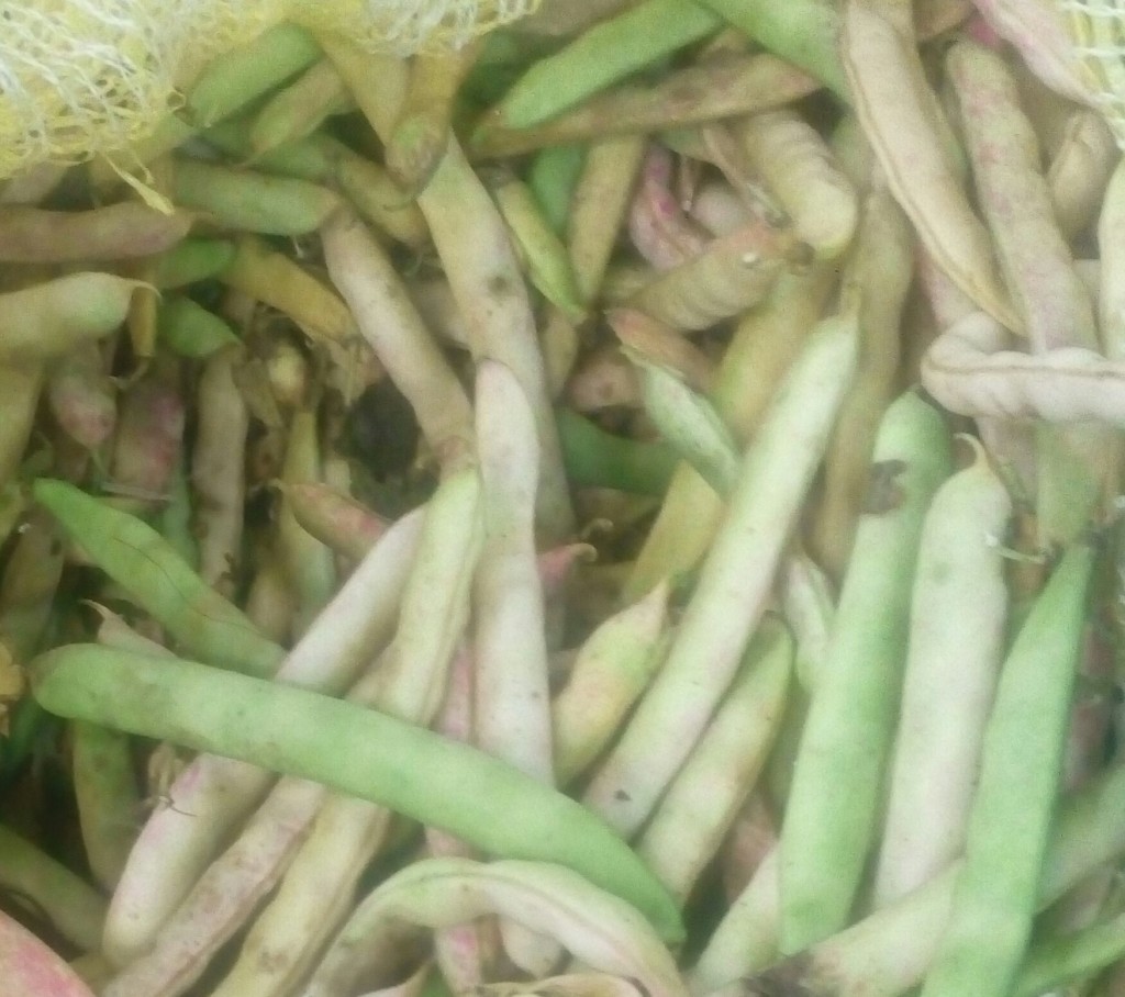 Frjol en cascara